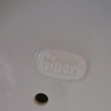 Ginori 