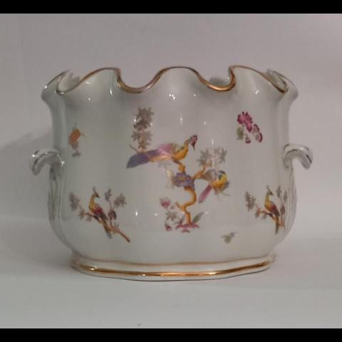 Decoro uccelli del paradiso